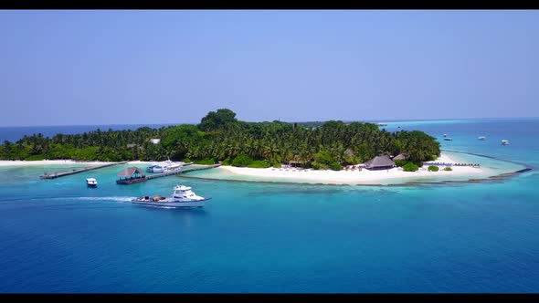 Aerial drone shot seascape of relaxing shore beach wildlife by blue ocean with white sandy backgroun