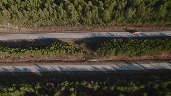 Highway road with traffic cars between green forest