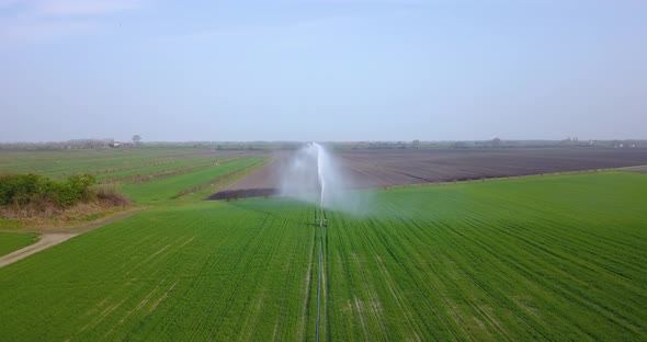 A Jet of Water is Sprayed on the Green Field