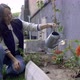 Woman Watering Flowers - VideoHive Item for Sale