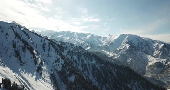 Snow Forest in the Mountains Above the Clouds