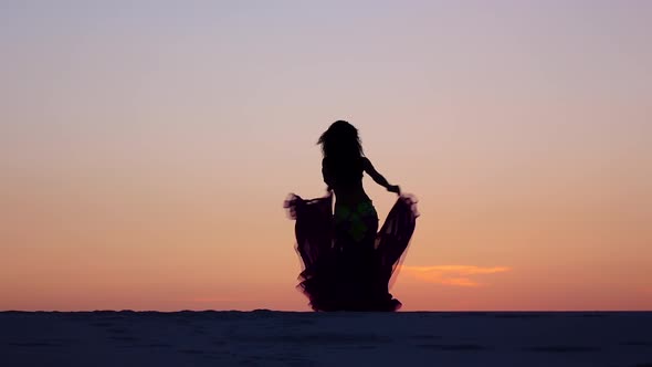 Professional Cute Dancer on the Beach Dances Belly Dancing. Silhouette