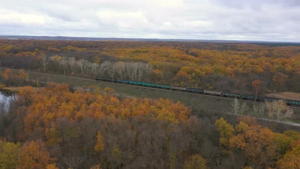 Train Through The Autumn Forest 7