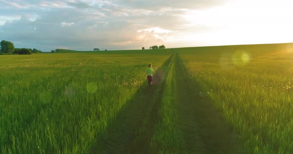 Sporty Child Runs Through a Green Wheat Field