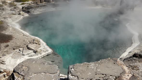 Geyser within Whakarewarewa thermal valley in Rotorua New Zealand