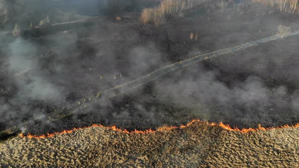 Burning Grass and Trees in a Large Area