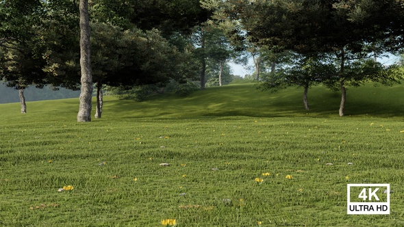 Beautiful Landscape In Park With Tree And Green Grass Field