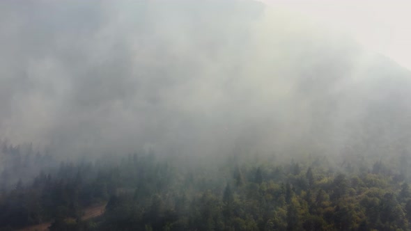 Fire in the forest aerial view. Cinematic aerial shot fire in the forest.