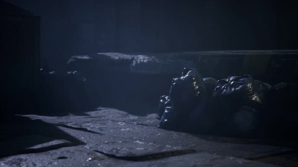 Garbage Bags at City Street an Night alt