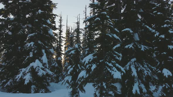 Beautiful Snow Covered Landscape in Canadian Mountain Nature During Winter Sunny Morning