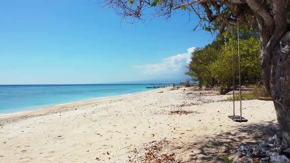 Beautiful tropical sandy beach background, a tree with the rope swing and turquoise sea water dolly