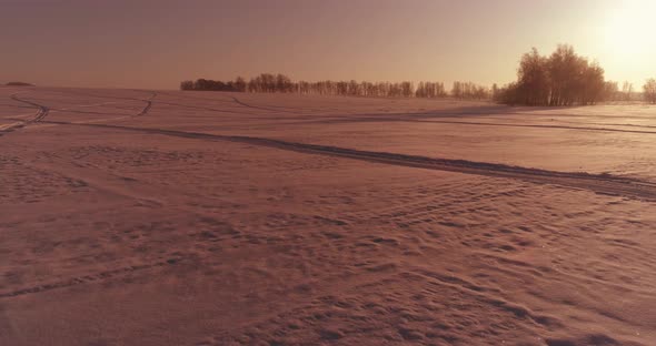 Aerial Drone View of Cold Winter Landscape with Arctic Field Trees Covered with Frost Snow and