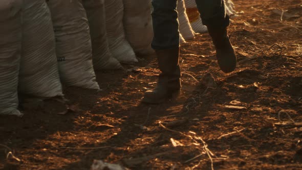 Unrecognizable Farmer Walking Near Bags