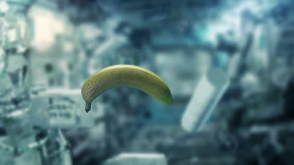 Banana And Objects Float Inside Space Shuttle