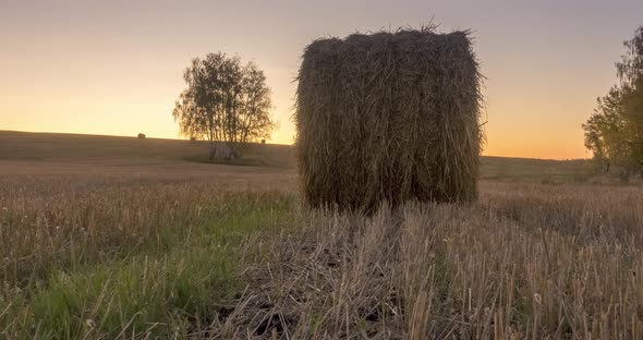 Flat Hill Meadow Timelapse at the Summer Sunrise Time. Wild Nature and Rural Haystacks on Grass