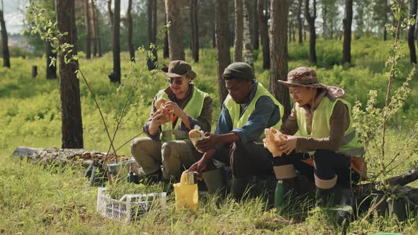 Gardeners Having Lunch in Forest