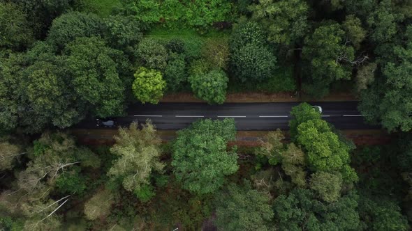 Cinematic birdseye pull out. Cars driving in dense woodland in English countryside