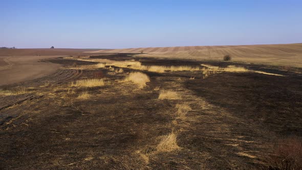 Flight Over Field After Fire