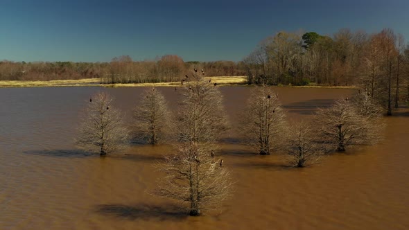 Aerial drone video Lakepoint Resort State Park Eufaula Alabama USA