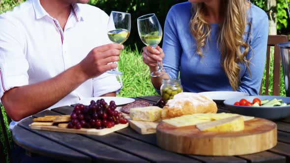 Affectionate couple toasting glasses of wine in vineyard