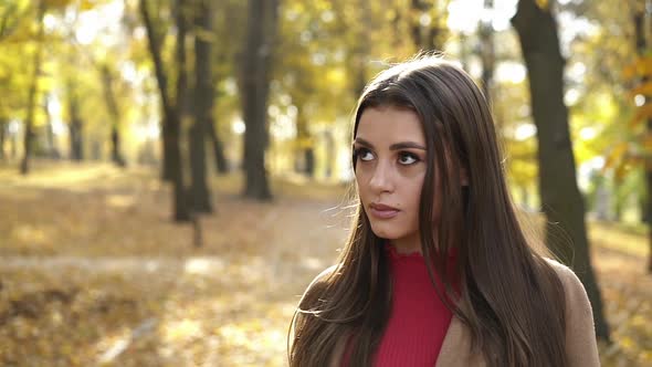 Beautiful Look of Browneyed Girl Looking Lightly Aside at Camera in Autumn Park