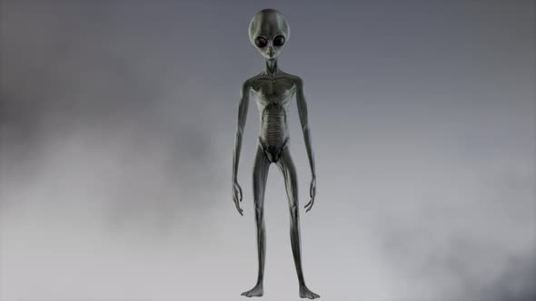 Scary Gray Alien Stands and Looks Blinking on a Dark Smoky Background