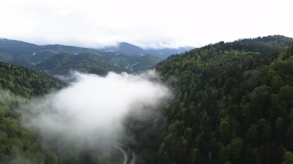 Ukraine, Carpathians: Fog in the Mountains. Aerial.