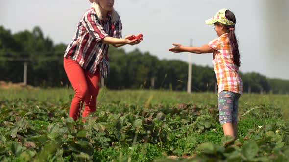 Mother with Her Little Daughter in the Allotment of Strawberries