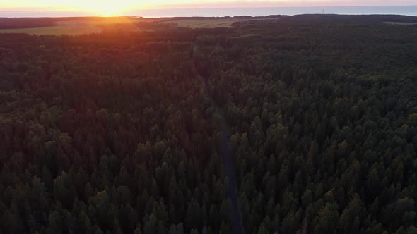 Aerial view of a road in the middle of the nordic pines forest on the sunset in Estonia.