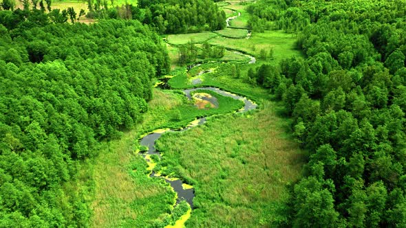 Stunning green forest and small river in spring, aerial view