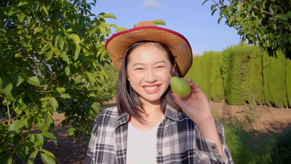 Asian farmer comparing whole and bad pear in countryside