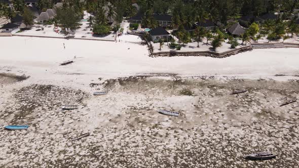 Ocean at Low Tide Near the Coast of Zanzibar Island Tanzania Slow Motion