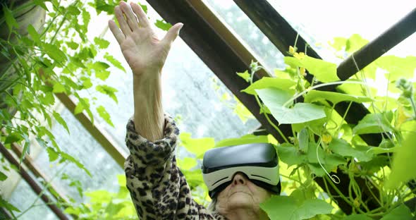 a Pensioner is Watching a 3D Video with VR Glasses Against the Background of a Greenhouse