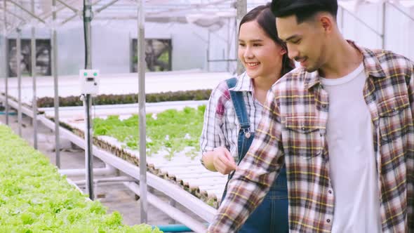 4k slow handheld asian couple farmer takecare and discuss how to growth plant in hydroponic farm