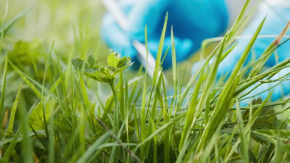 Process of Taking Sample of Grass for Analysis Using Flask and Tweezers Wearing Protective Suit and