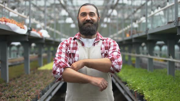 Successful Farmer Crossing Arms on Chest in Greenhouse, Agriculture Business