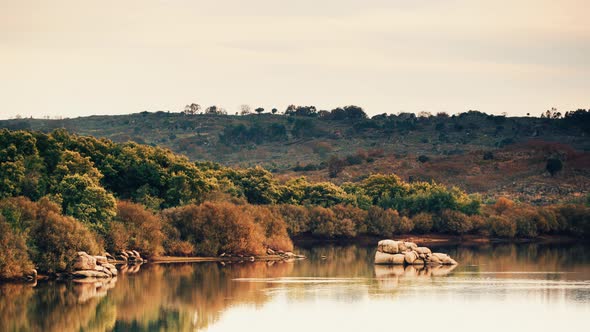 Landscape with Forest on Lake Shore