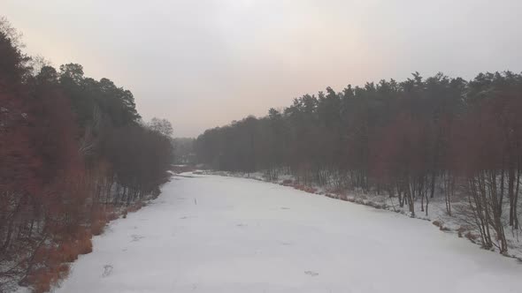 Winter Forest Frozen Lake