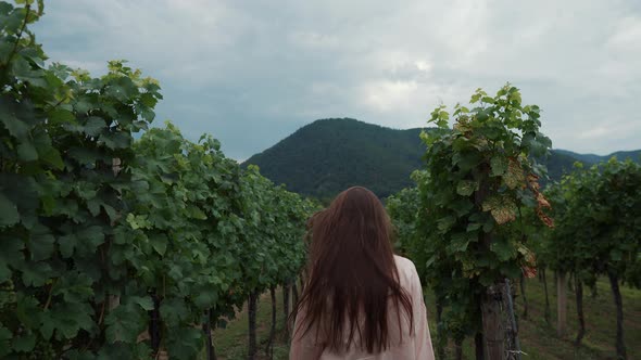 Female Visitor of Vineyard is Walking Between Shrubs