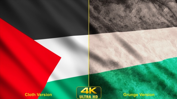 Palestine Flags