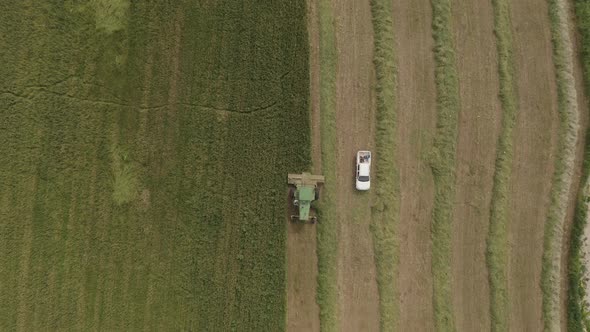 Combine harvesting Wheat for silage, Aerial view