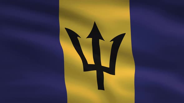 Barbados Windy Flag Background 4 K
