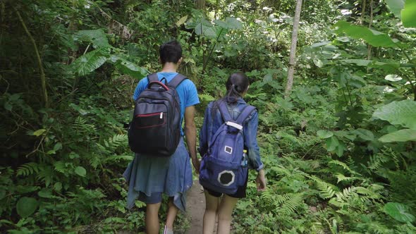 Young Couple Holding Hands Hiking In The Forest