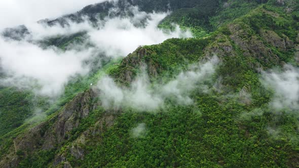 Aerial View Over the Mountain Forest Covered in Fog Untouched Ecosystem in World Beautiful Nature