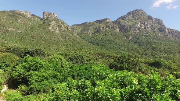 View of the Kirstenbosch botanical gardens against the backdrop of Table mountain, Cape Town, South