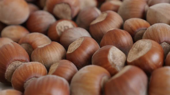 Nuts of Corylus avellana on heap close-up 4K 2160p 30fps UltraHD panning footage - Hazelnuts on whit