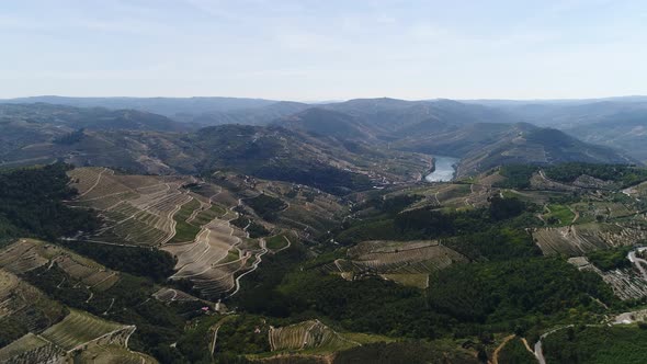 Famous Vineyards Douro Valley Porto Wine Region Portugal