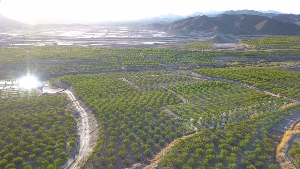 Flying above the farms in the spring. Breathe clean and fresh air.Watch the timeless green.