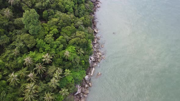 Aerial view rock near sea coastal and green tree