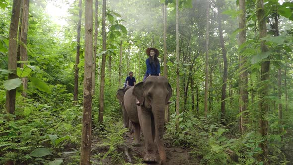 Group Young Trainee To Ride On An Elephant In Forest